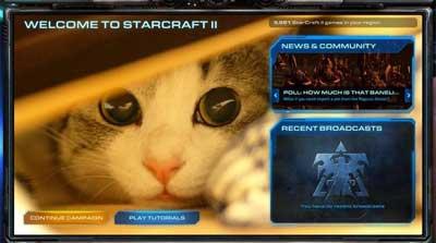 StarCraft II: Wings of Liberty - Создаем свои обои для Battle.Net. Подробный мануал